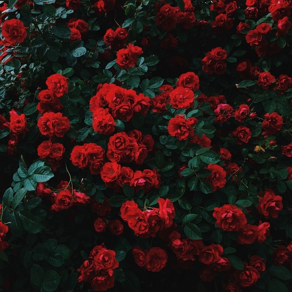 ✨🌈Scuba Dive into my closet!🌈✨ - Picture 4 of 5